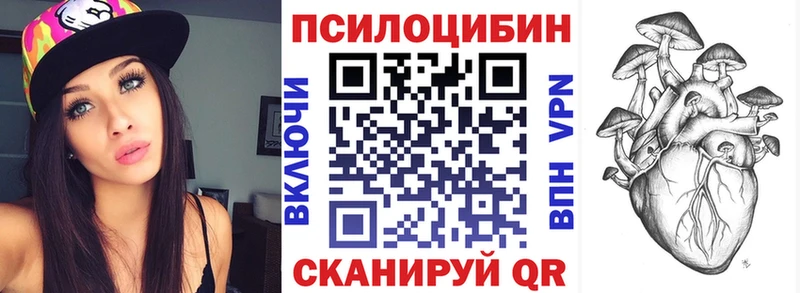 где купить наркотик  Лермонтов  Псилоцибиновые грибы Magic Shrooms 